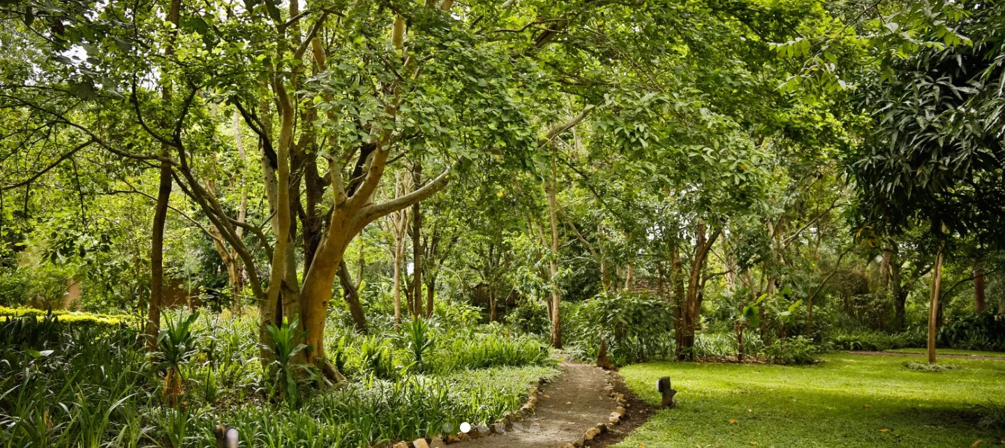 Rivertrees Country Inn thumbnail 5